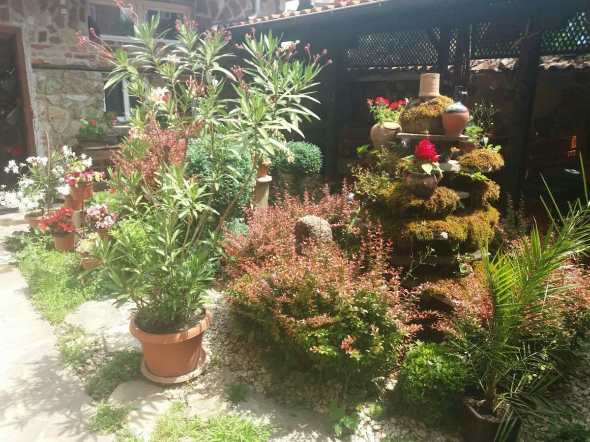 Guest House Tivko Katce Gostivar Kültér fotó